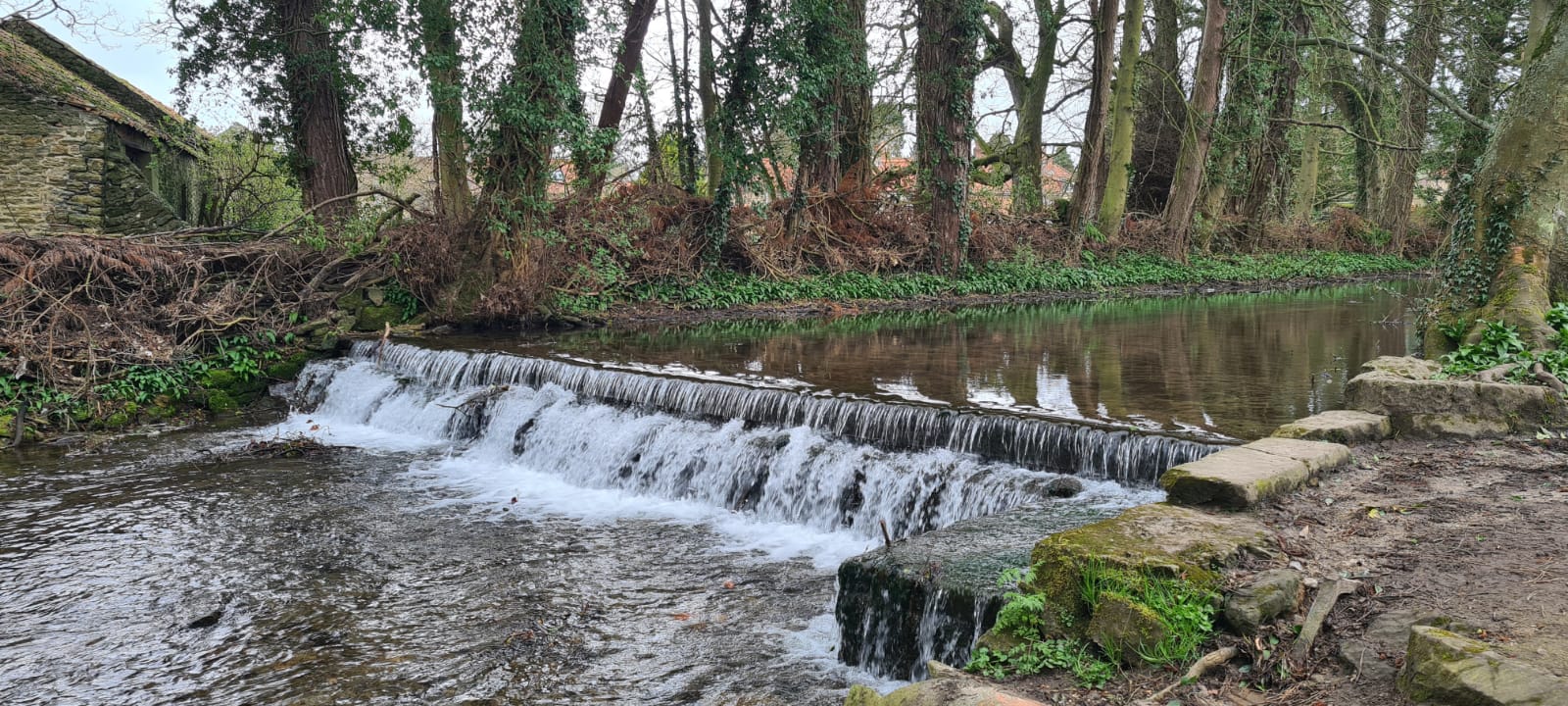 Riverside Nature Trail