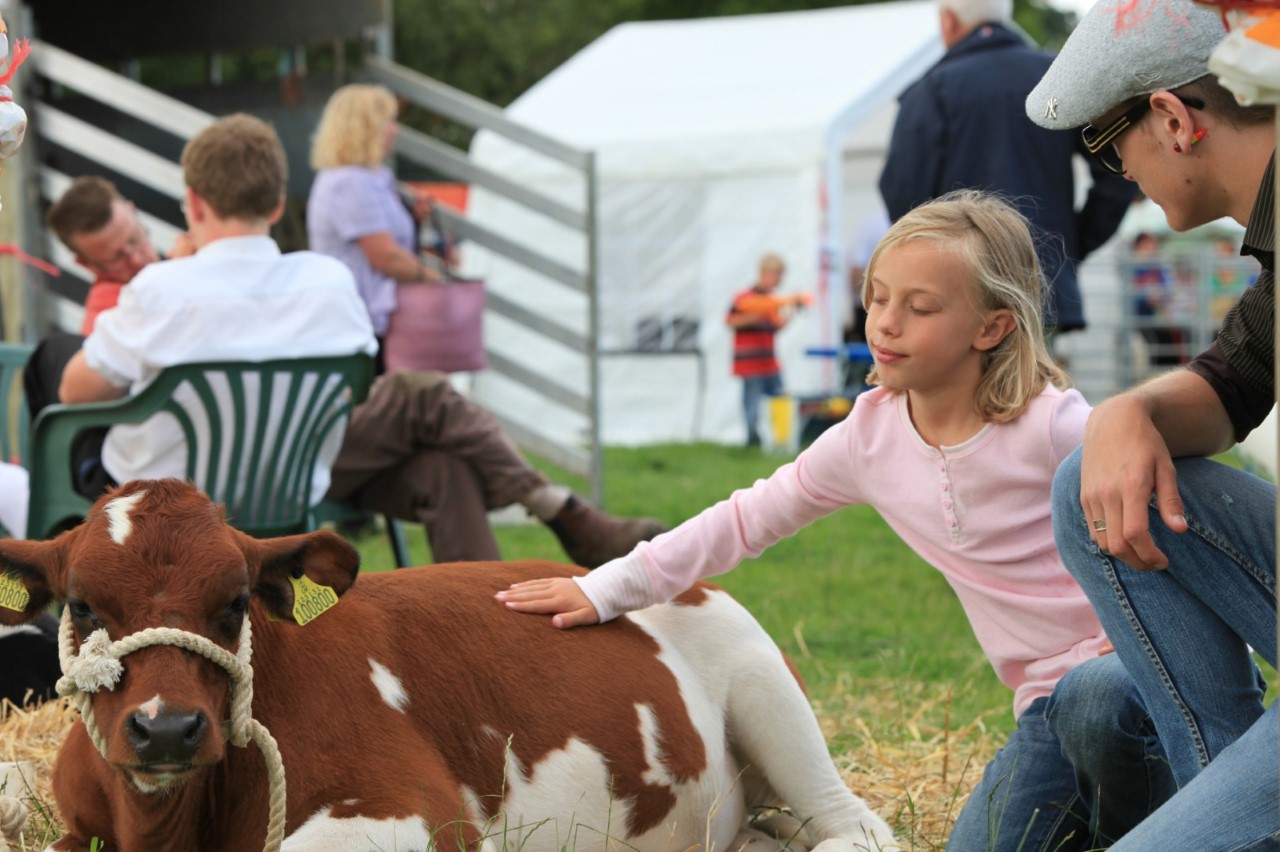 Countryfile Live 2019