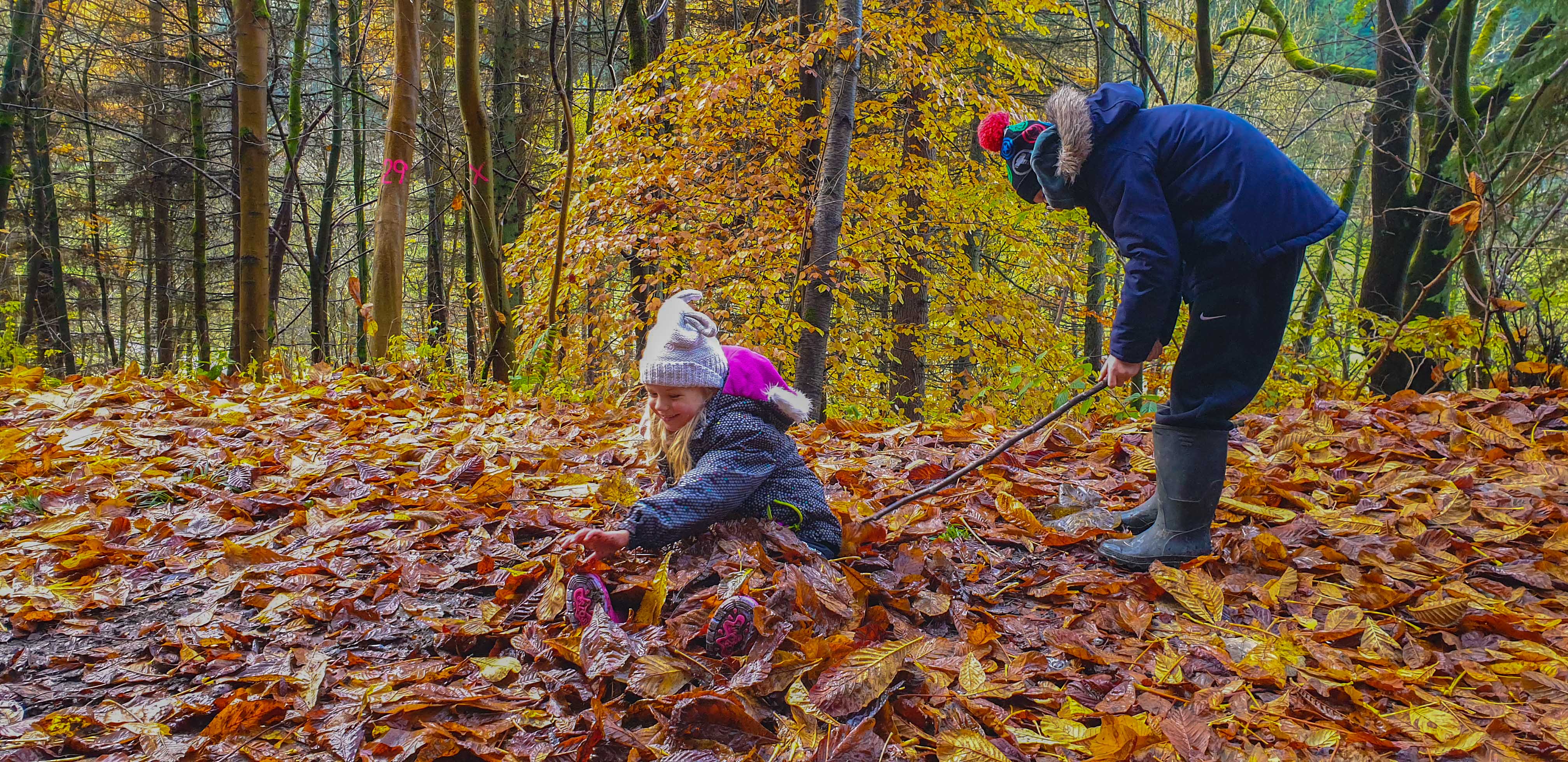 Autumn at High Oaks