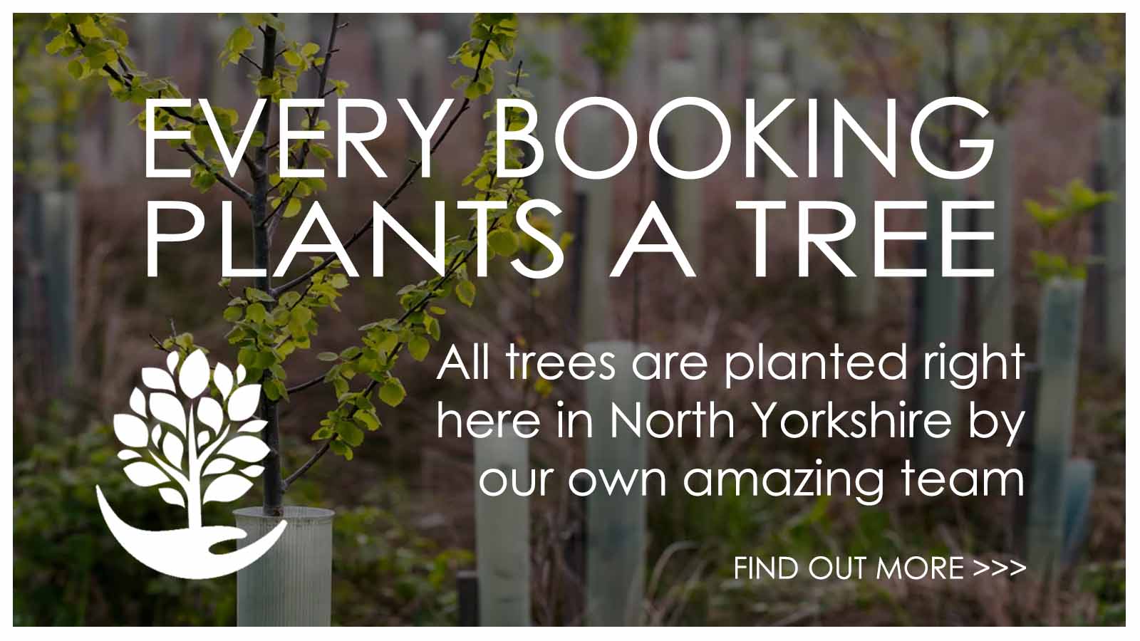 Every Booking Plants a Tree