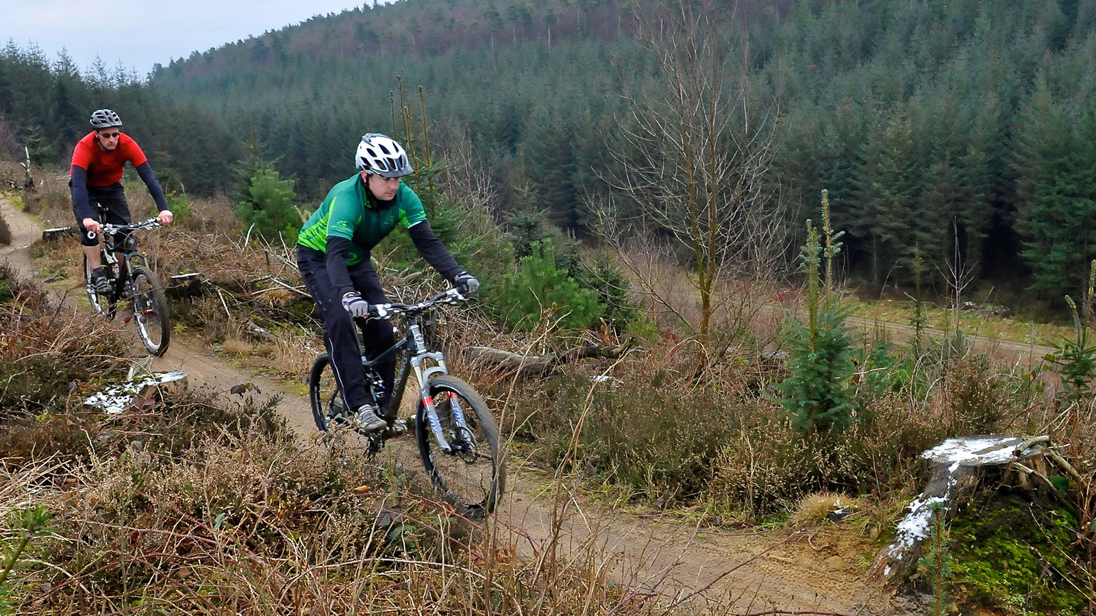 Cycling Holiday in Dalby Forest