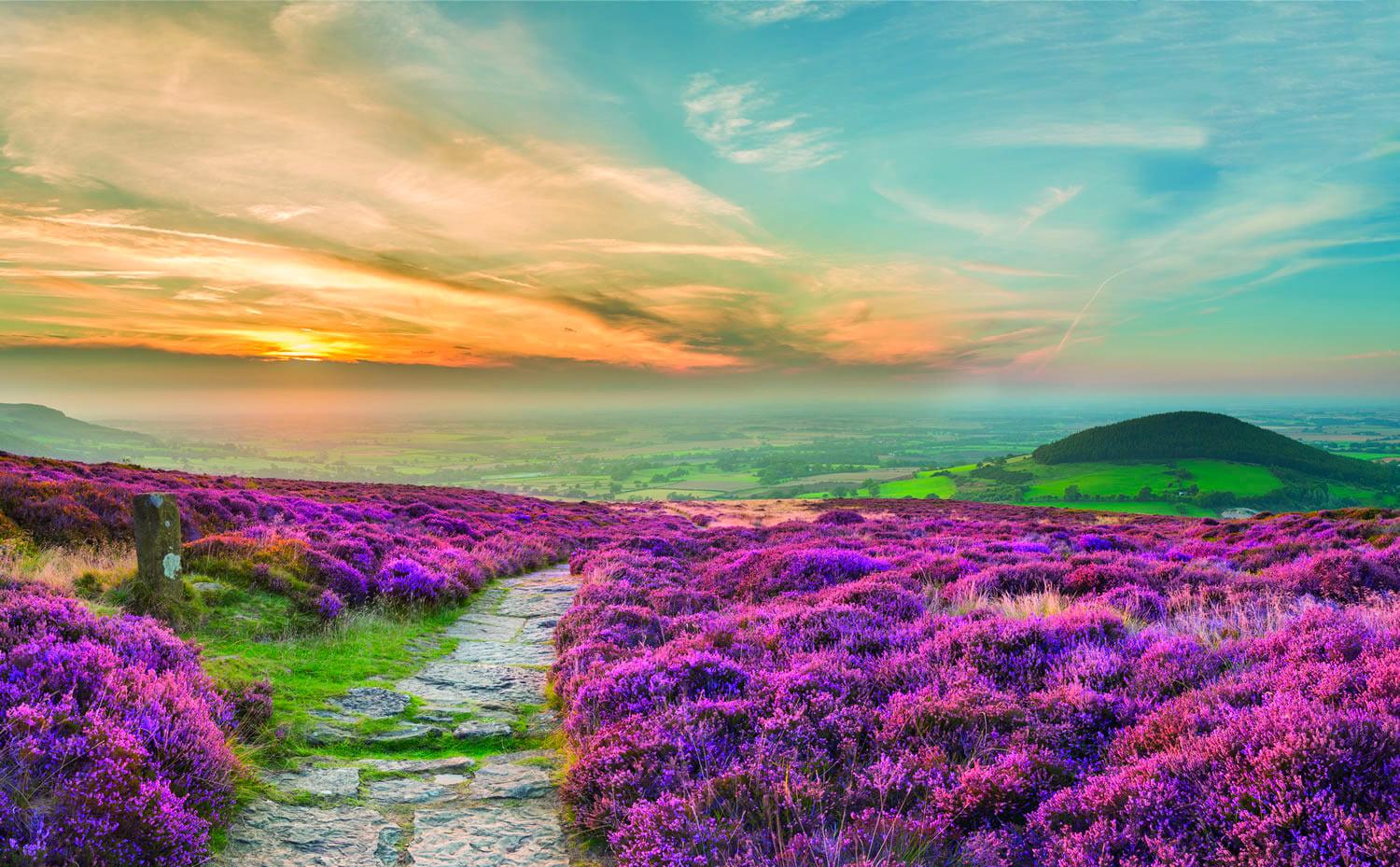 Misty sunrise over North York Moors with layered rolling hills