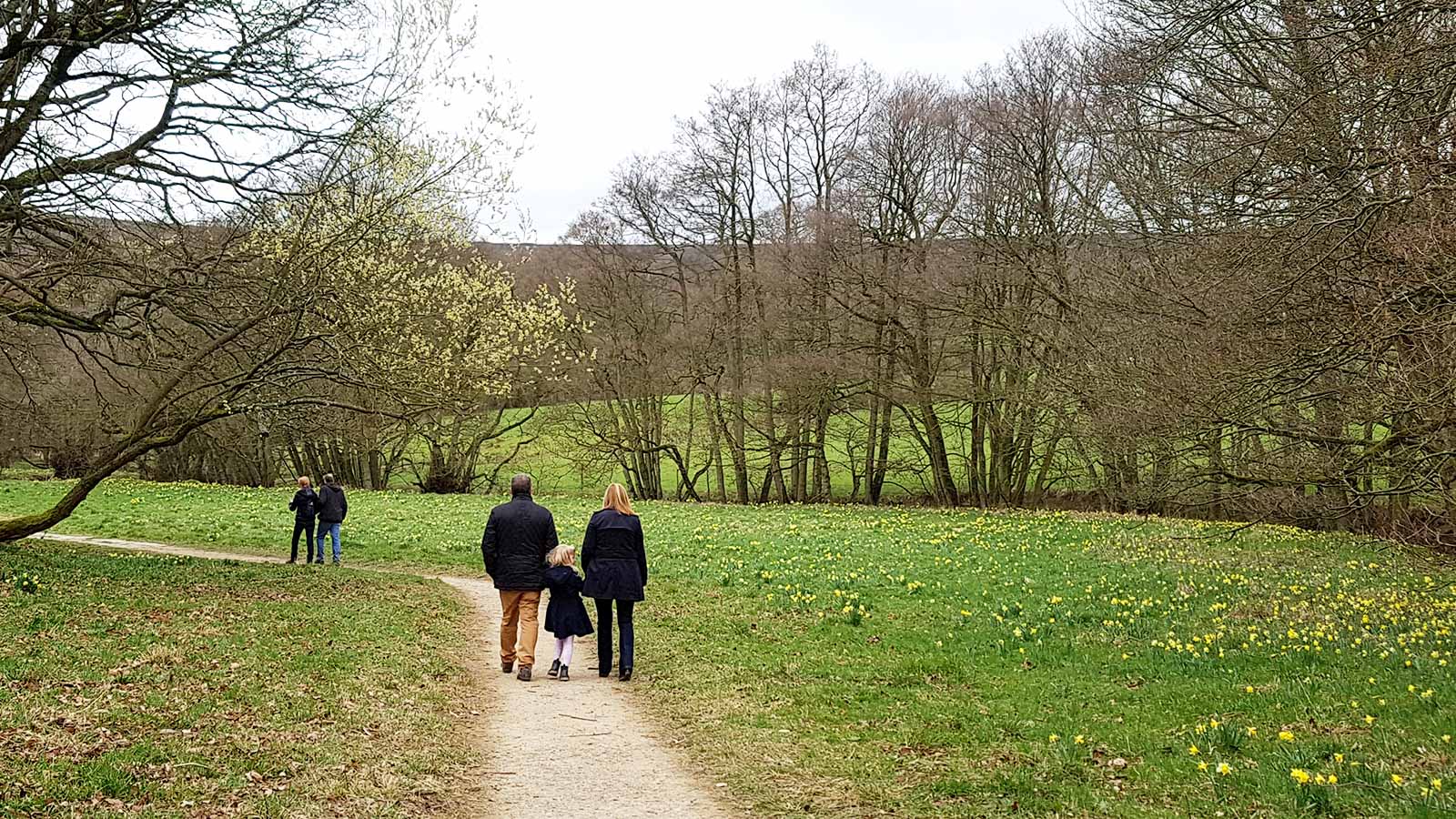 Farndale Daffodil Walk